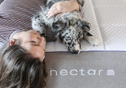 Ambassador Network 22 Pet Friendly Mattress