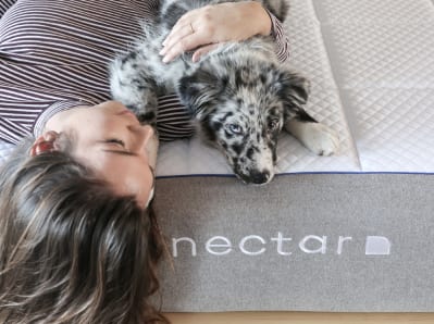 Ambassador Network 19 Pet Friendly Mattress