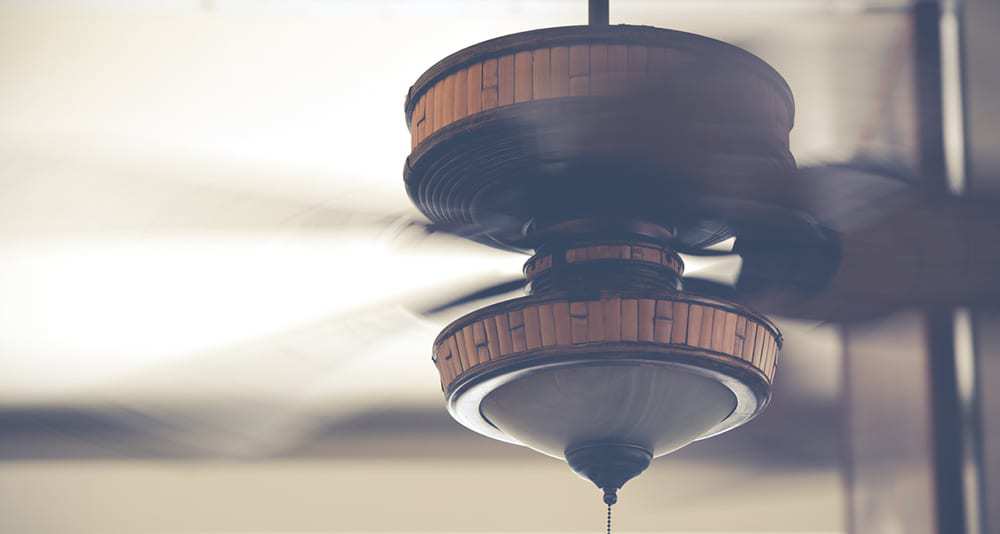Ceiling Fan Ceiling Fan