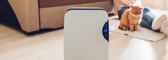 Dehumidifier
