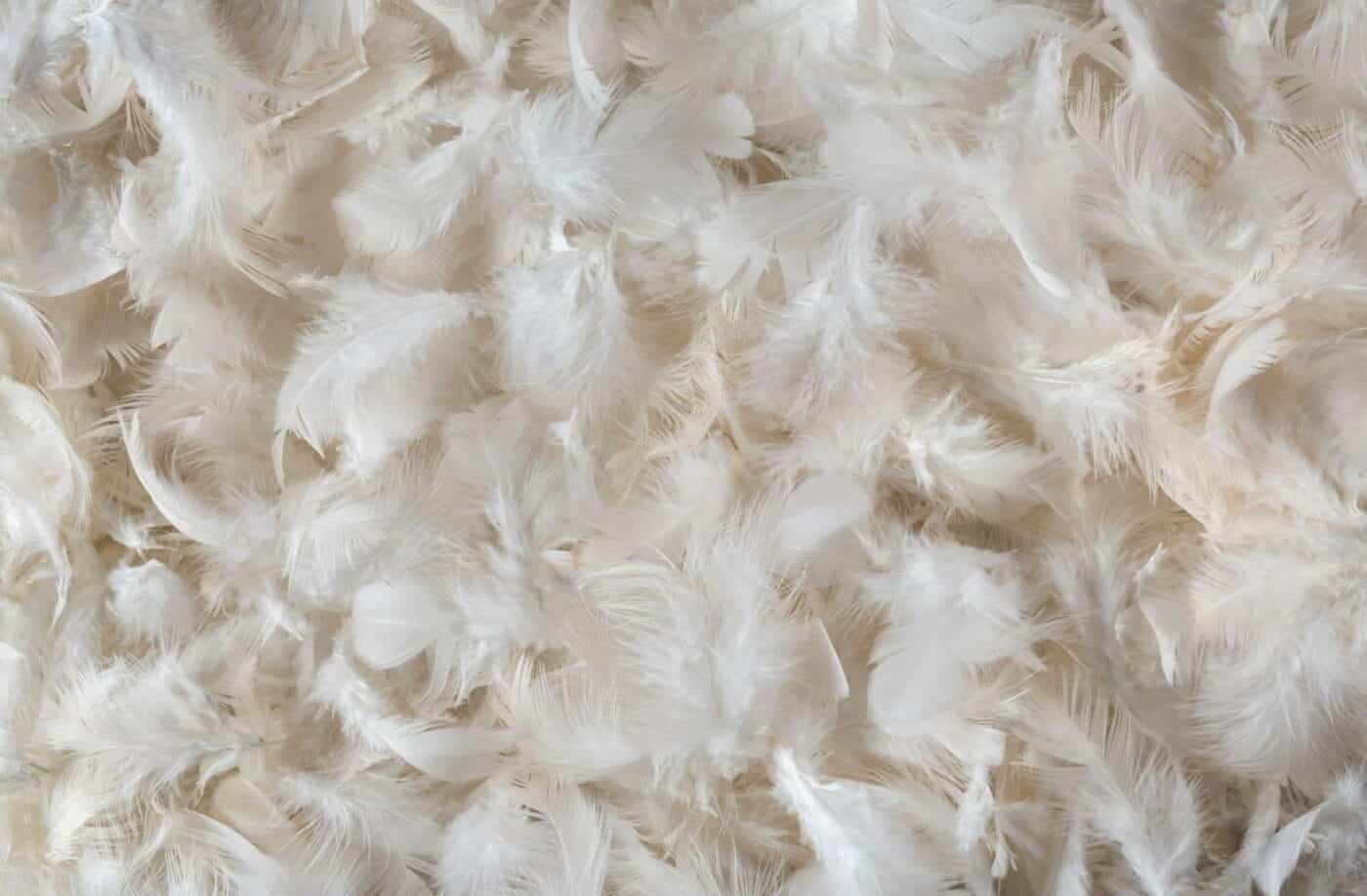 poly pillow stuffing