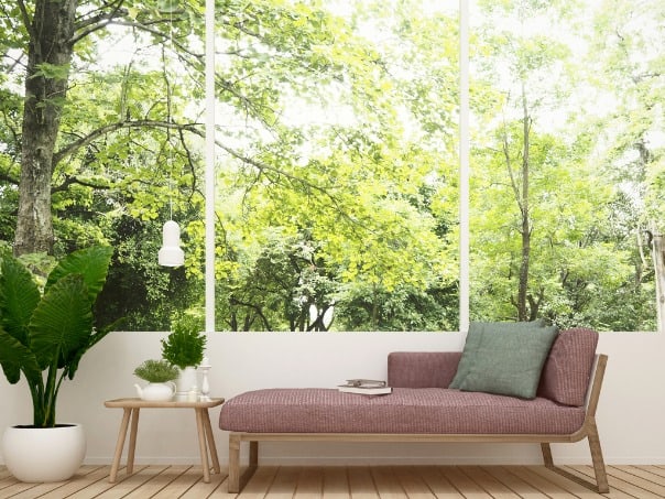 What Is a Daybed?