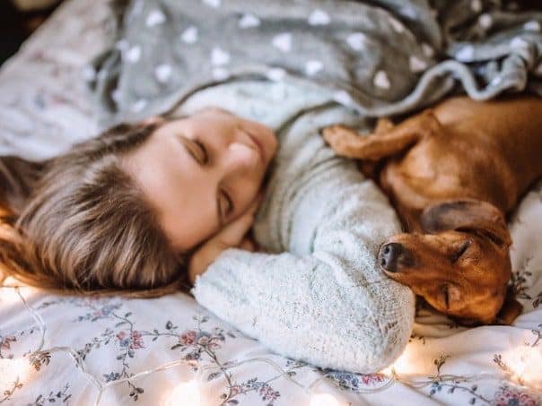 Sleeping With Dog: Benefits, Dangers & Tips