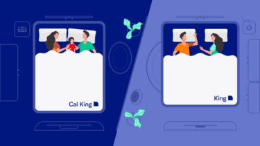 Artwork - Cal King Vs King - AT2 Artwork Cal King Vs King AT2