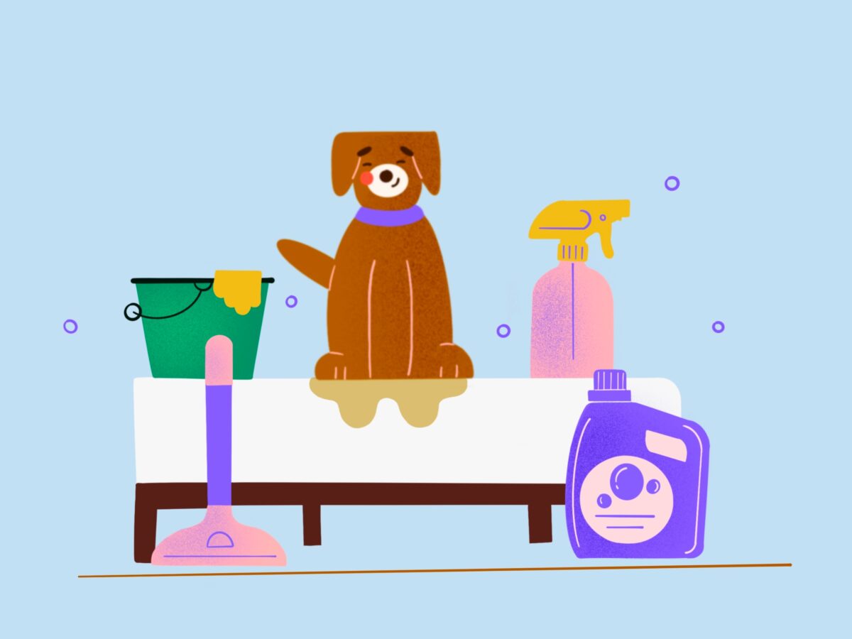 How To Remove Urine Stains From Mattress Nectar Sleep