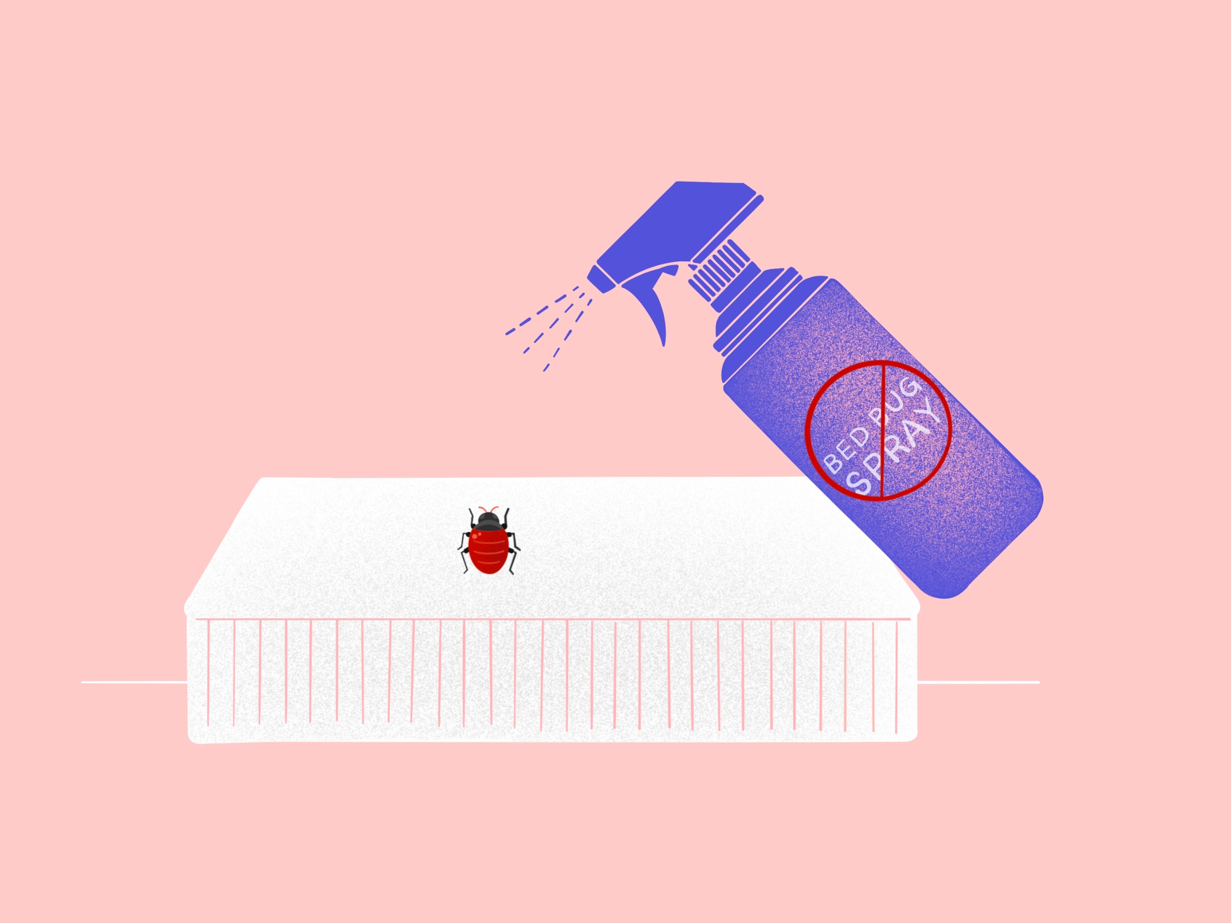 Illustration Of What Kills Bed Bugs Instantly