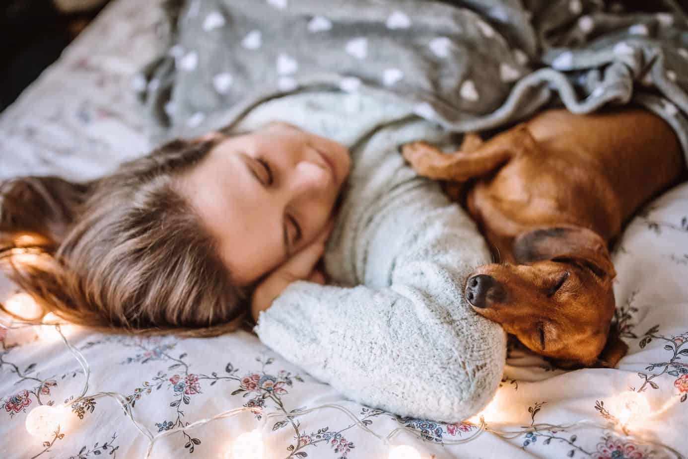 dog sleeping while cuddling up with a person