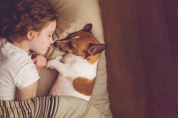 Should You be Sleeping With Your Dog?