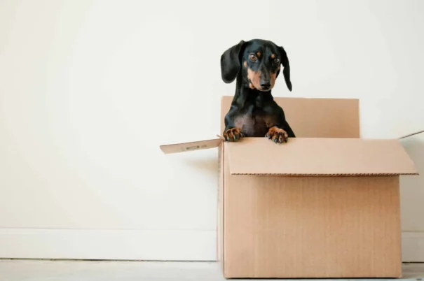 Where do you buy cheap moving boxes? Moving made cheaper