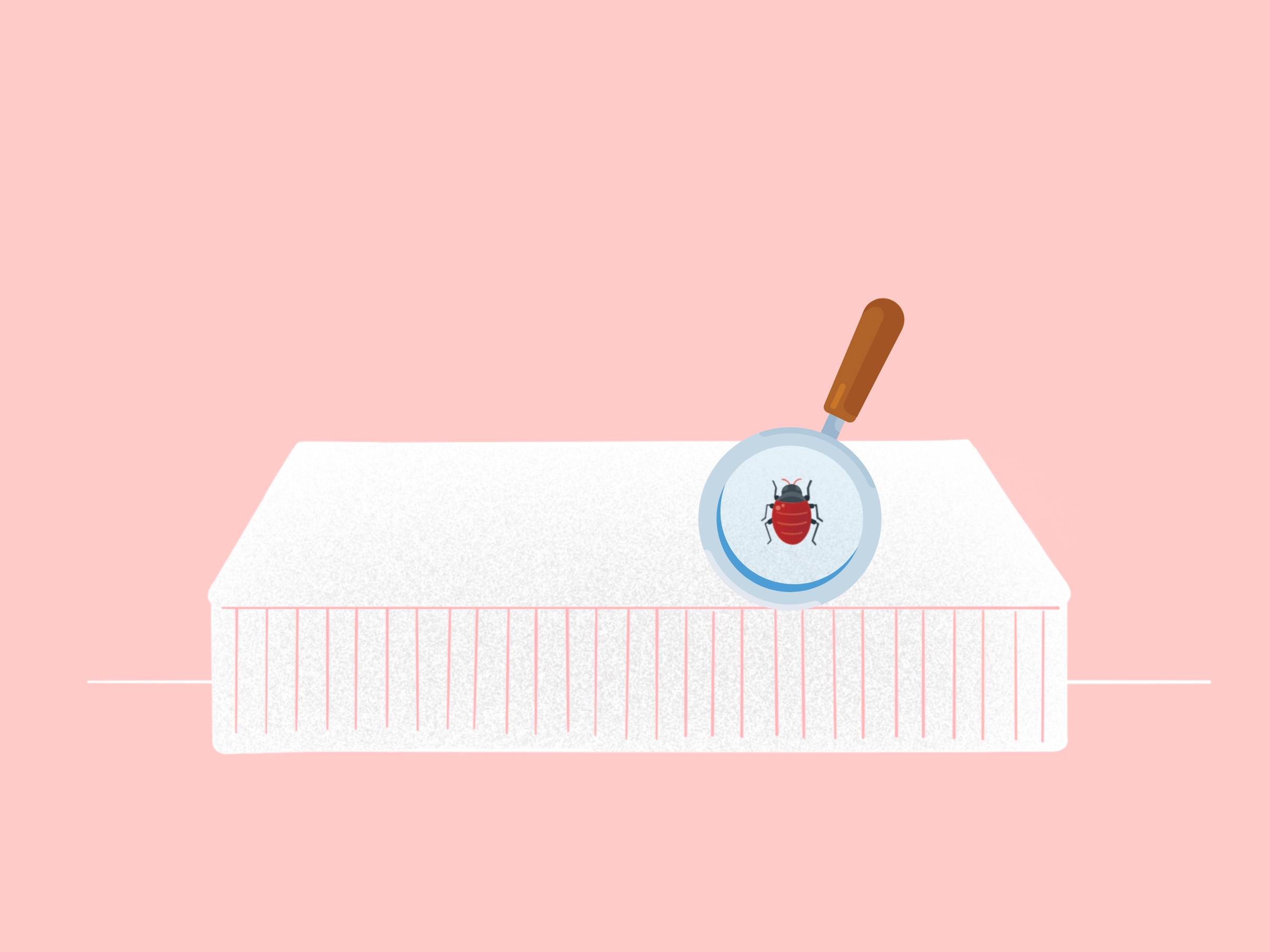 Check For Bed Bugs Illustration