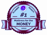 Awards 10 slumbersearch badge 2022