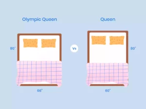 Olympic Queen Vs Queen Comparison Illustration