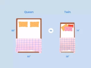 Twin Vs Queen Size Mattress Comparison Illustration
