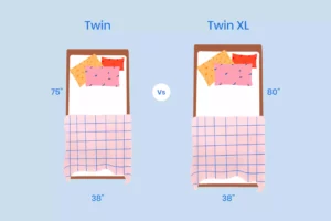 Twin Vs Twin XL Size Mattress Comparison Illustration