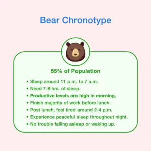 bear chronotype