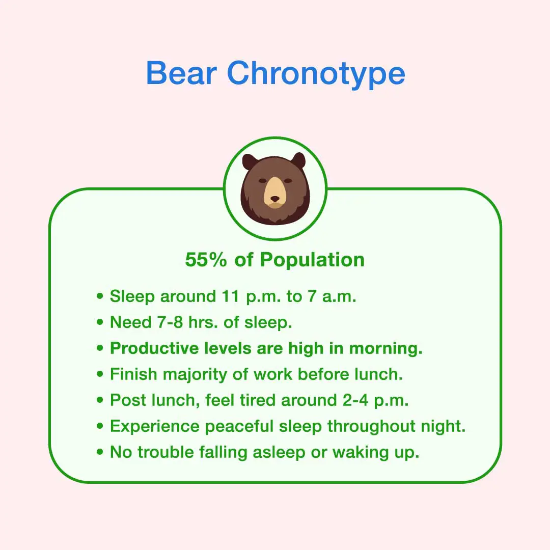 What Is Chronotype Types, & Effect On Sleep